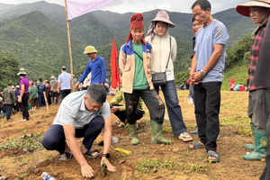 CHIỀNG SINH RA QUÂN TRỒNG CÂY CÀ PHÊ NĂM 2026