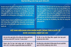 Việt Nam tích cực, chủ động và đóng góp trách nhiệm tại Liên hợp quốc
