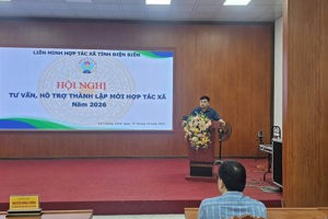 CHIỀNG SINH TƯ VẤN, HỖ TRỢ THÀNH LẬP MỚI HỢP TÁC XÃ
