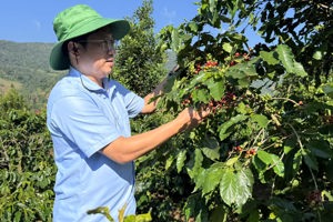 CHIỀNG SINH KIỂM TRA TIẾN ĐỘ ĐO ĐẠC ĐỊA CHÍNH VÀ TÌNH HÌNH SẢN XUẤT TẠI BẢN MUÔNG