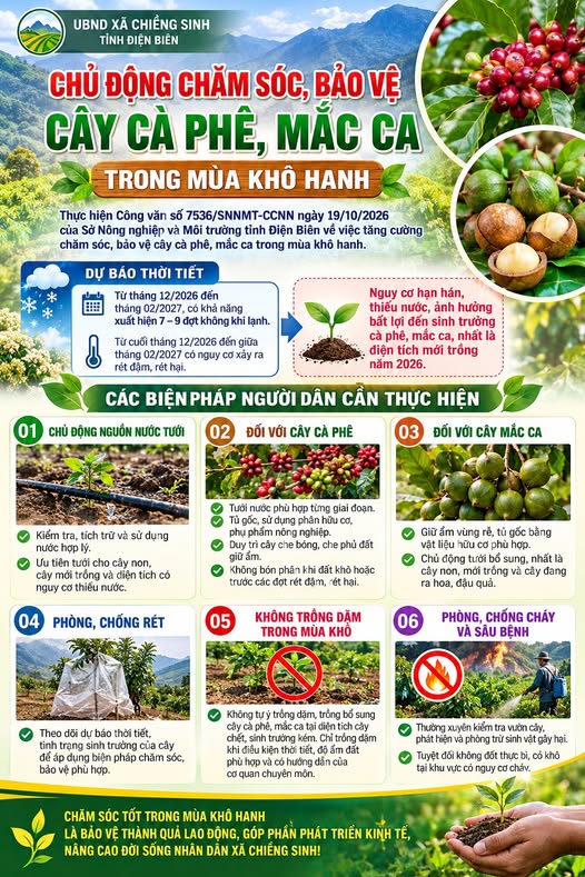 CHỦ ĐỘNG CHĂM SÓC, BẢO VỆ CÂY CÀ PHÊ, MẮC CA TRONG MÙA KHÔ HANH